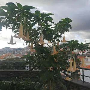 Hébergement de vacances Casa Vanday, Funchal (Madeira)